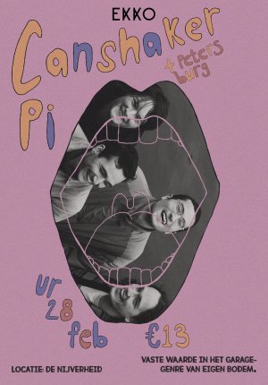 Canshaker Pi